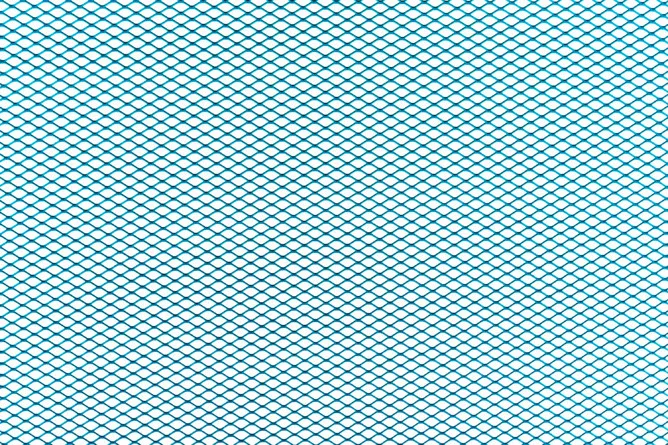 2026_06_19_1500905